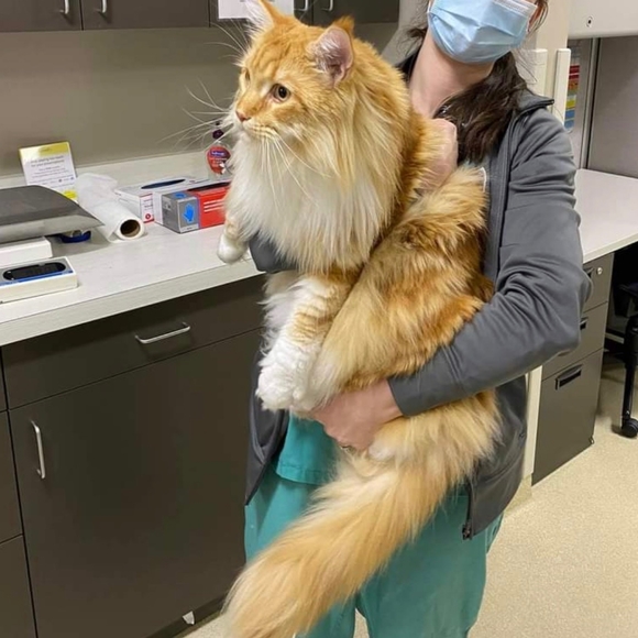 Naps are good! π¦ Foxy knows best π¦ - Picture 11 of 16